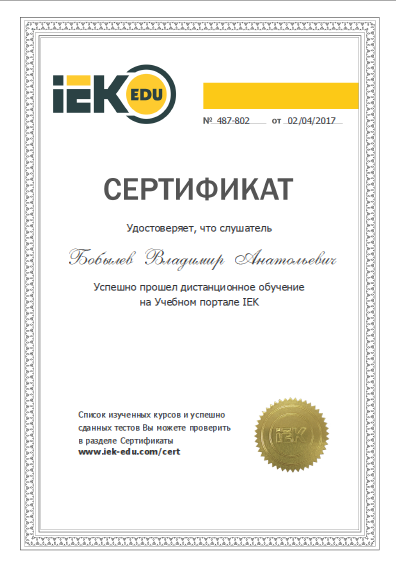 bobylev iek